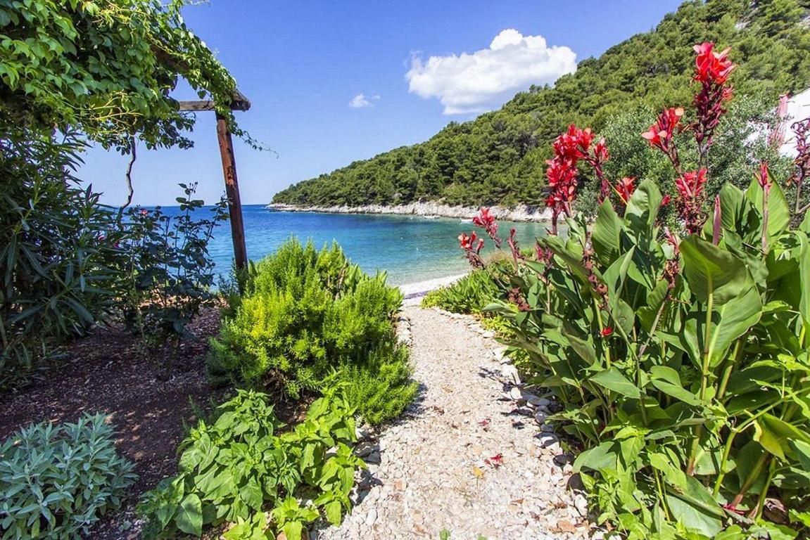 Seaside Secluded Apartments Cove Skozanje, Hvar - 5713 Gdinj المظهر الخارجي الصورة